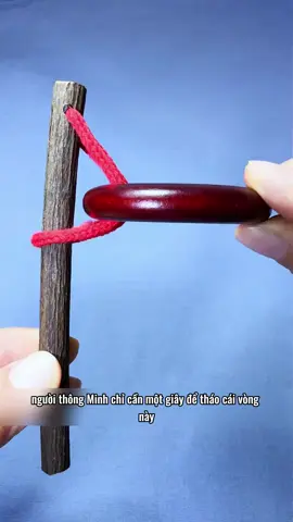 Đồ chơi trí tuệ trung quốc #dochoitritue #dochoithongminh #fpy #xuhuong 