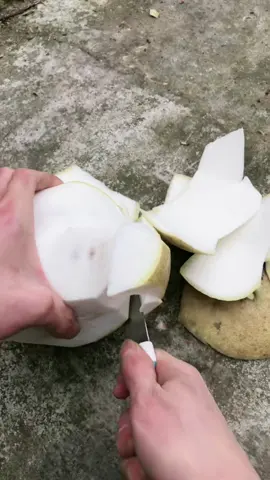 Nhìn thì ngon đấy , nhưng mà chưa chín 😆#Chna #flypシ #dânbiển #bray 