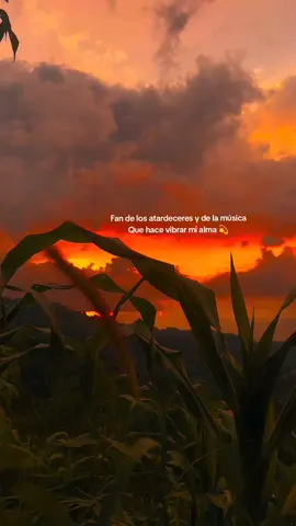 💫#kjarkas #paisajes #atardecer #relax #parati 