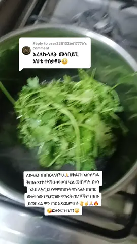 Replying to @user2381326617776 ለኩላሊት ጠጠርላለባችሁ🙏በቅዶናዝ እስከነግዱ ቅጠሉ አተክትካችሁ ቀዝቀዝ ሢል መጠጣት  በቀን አንድ ሊትር ይሁንየምጠጡት የኩላሊት ጠጠር ውልቅ ነው የሚያርገው ሞክሩት ጤነኞችም ጠጡ ይመከራል ምን ነገር እዳጨምሩበት👌☝🙏🔥😘ፎሎአርጉ ቤቱን😳#ፍቅር➻ብቻ🖇ፍቅር➻ብቻ❤🥀🔐 #አማራዬ💚💛❤አማራዬ💚💛❤ #ertrawin🇪🇷🇪🇷🇪🇷 #ኦርቶዶክስ_ተዋህዶ_ፀንታ_ለዘለዓለም #ኦርቶዶክስ_ተዋህዶ_ፀንታ_ለዘለዓለም 