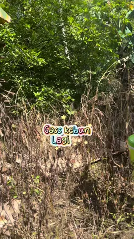 Day 2 Bersih” kebun wkwkw 💪🏻#CapCut 