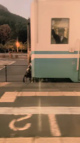 Hidup lagi cape cape nya nemu lagu mawar Bodas versi Jepang nya😴#darso #mawarbodas #fyp #🇮🇩🇯🇵 