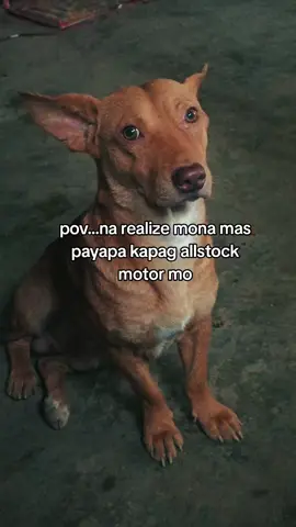 then l realize the situation 🥲 stock is good..  #xrm125 #makeitvirаl#studentbuild #fyyyyyyyyyyyyyyyy 