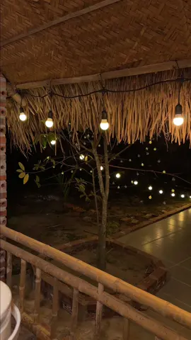 Sau 1 năm quay lại cái lều xem dãy đèn vẫn đẹp 