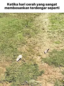 #meme #spongebob #fyp #godvibes #nostalgia 