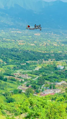 #باجوڑگلونہ🌺🌺🌺 #وایرال_ویدیو #باجوڑ_خو_باجوڑ_دے #sajid__bj🍁 @Sajid__Bj 