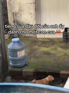 #dangiumotchutthoinha 