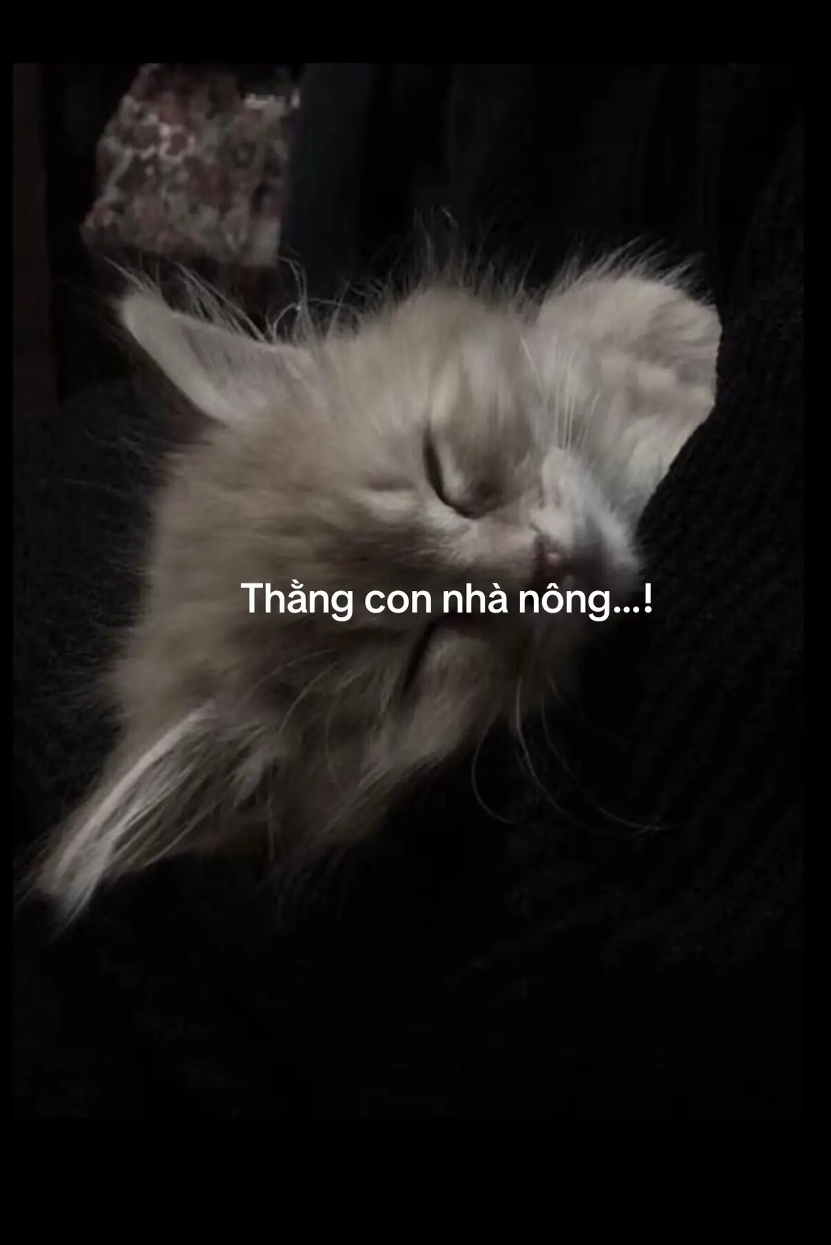 Thang con nhà nông…! #sadstory #connhanong #story #pheoverthinking #fptxuhuong 