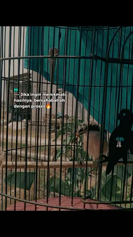 toetttt#cendet #kicaumania #cendetjatim #fyp 