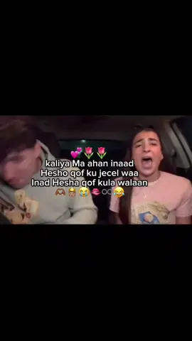 qof kula Walaan🫅🏽😂 #📿  #somalitiktok🇸🇴💘  #fyppppppppppppppppppppppp🤎♾️ 