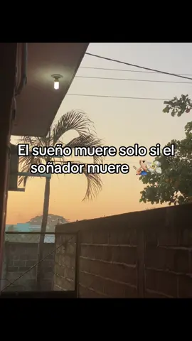 #viral #sueño #soñador #muere #fyp 