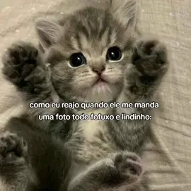 amoo hihihi #foryou #boyfriend #viralvideo #dedicate #fyp 