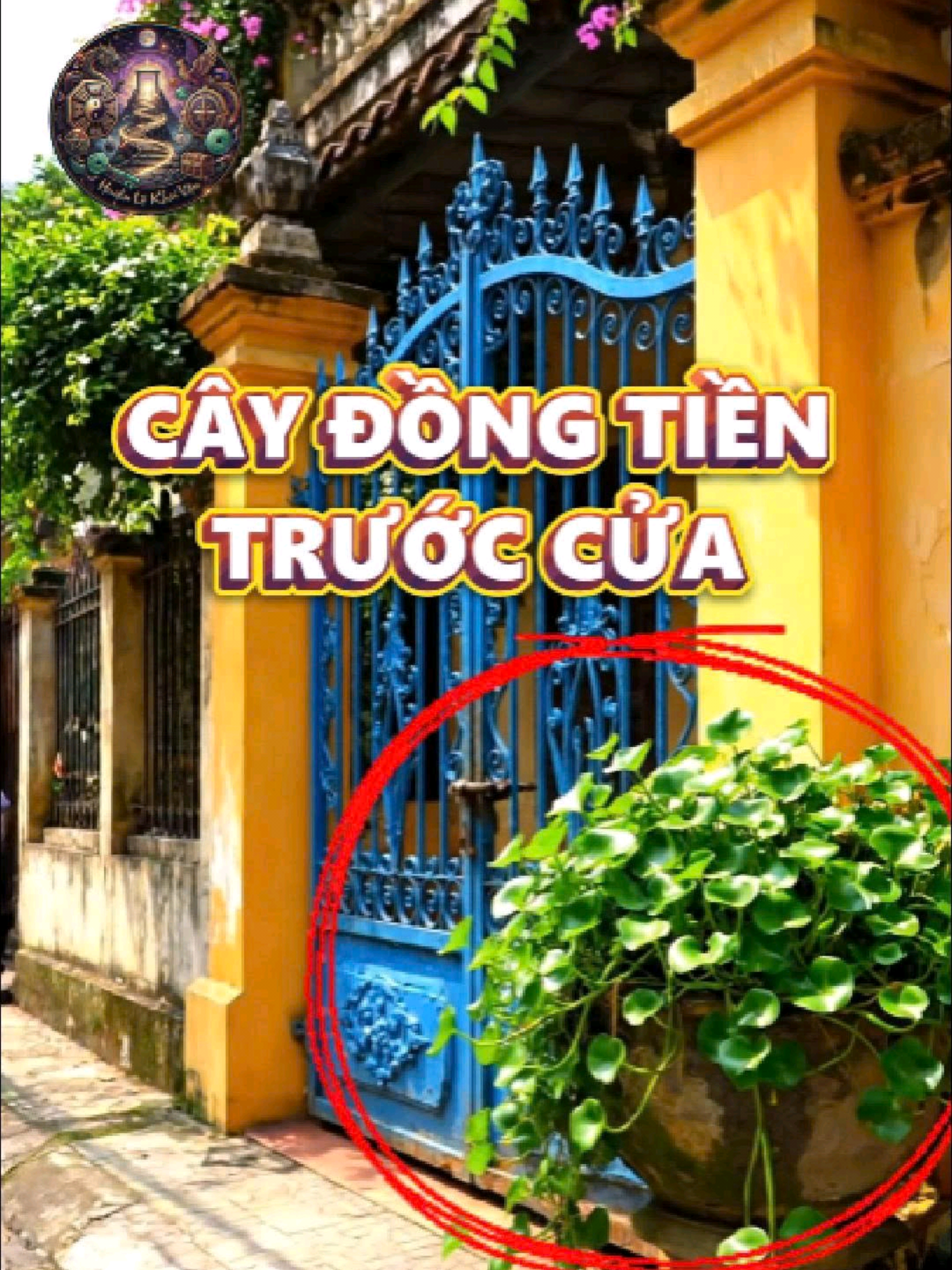 Chỏ một chậu cây đặt trước cửa, vận may cả nhà bật lên thấy rõ. #viral #phongthuy #hoagiaiphongthuy #vanmay 