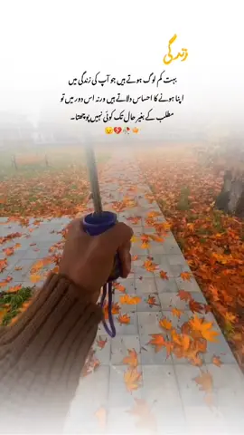 #fyp #fypviralシ #foryoupage #urdupoetry #onemillionaudition 