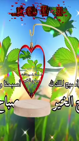 #كسسسسسسسسسبلووورر #🌺🌺🌺🌺🌺🌺🌺🌺🌺🌺 