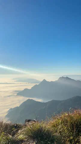 ⛰️🌫️🩵 #เที่ยวไทย #ธรรมชาติ #ภูชี้ฟ้าเชียงราย #ภูชี้ฟ้า #fyp 