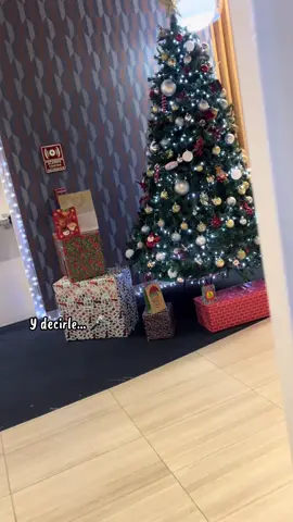 Imagínense 🫣 #comedia #navidad #cdmx #comedia #suegros 