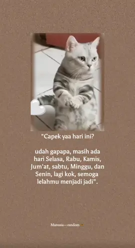 Udah gapapa☺️☺️ #bismillahfypシ #videolucu #masukberandafyp #xyzabc #fyp 