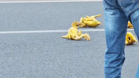 Chắc vẫn ăn được :))) #chicken #gà 