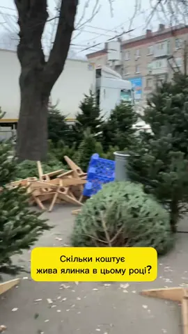 #ялинка #новийрік #ціни #ріктому 
