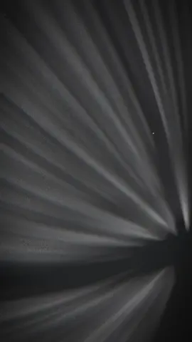 LỔ RỒI LỔ RỒI, NGUYÊN TEAM DOFPK SẼ VỀ VIỆT NAMMMM #Doran #Oner #Faker #Peyz #Keria 