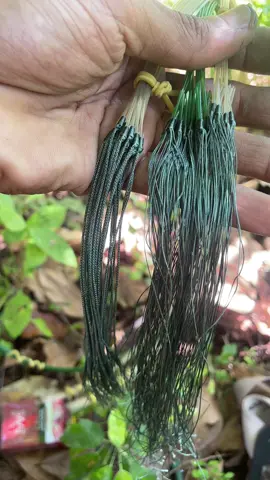 Sulam tetap sulam #creatorsearchinsights #fyp #xzyabc #racik #pikatayamhutan 