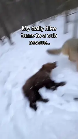 To save a bear! #wholesome #animals 
