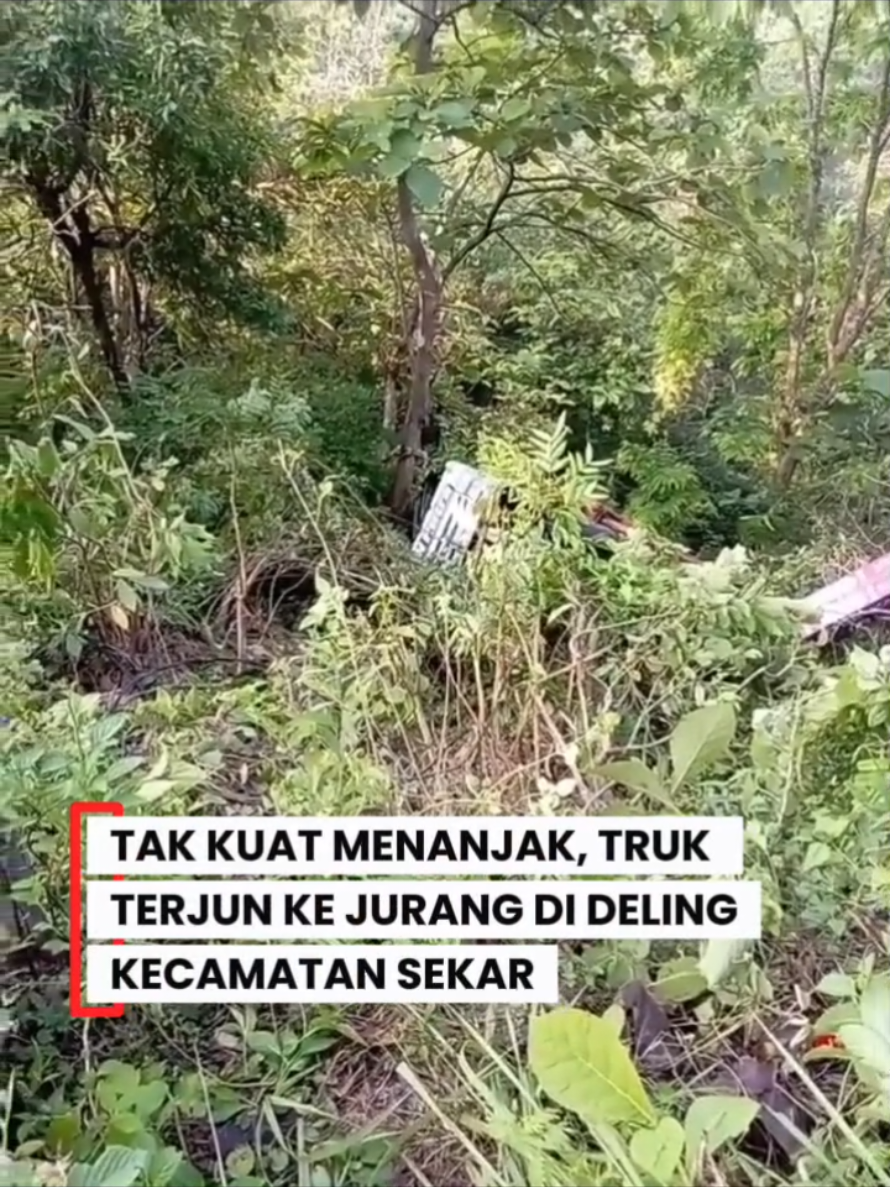 Diduga tak kuat menanjak di jalan tanjakan ds Deling, Kecamatan Sekar, Bojonegoro. Truk muatan terjun ke jurang. Kejadian tersebut herlangsung pada kamis, (4/12). Belum ada keterangan resmi dari pihak kepolisian, soal kronologi dan kondisi korban.  #bojonegoro #beritabojonegoro #bojonegorotv 