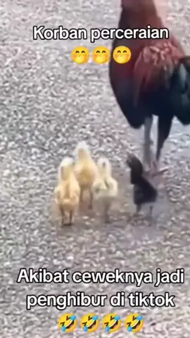 wong wedok ilang nalare🤭🤣🤣🤣 #assalamualaikum🙏 #salamanakrantau🙏🙏🕊️🇮🇩 #perantaumalaysia🇮🇩🇲🇾 #taiwan🇹🇼 #fypシ゚viral 