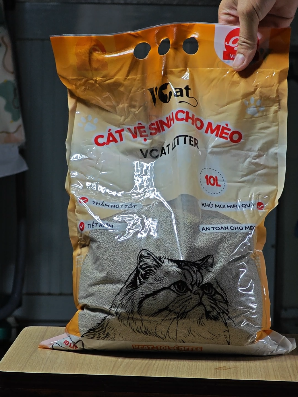 Cát Mèo phù hợp cho sinh viên  #botvotri 