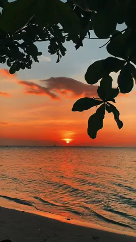 golekno kata kata cah#fyppppppppppppppppppppppp #fyp #masukberanda #pantai 