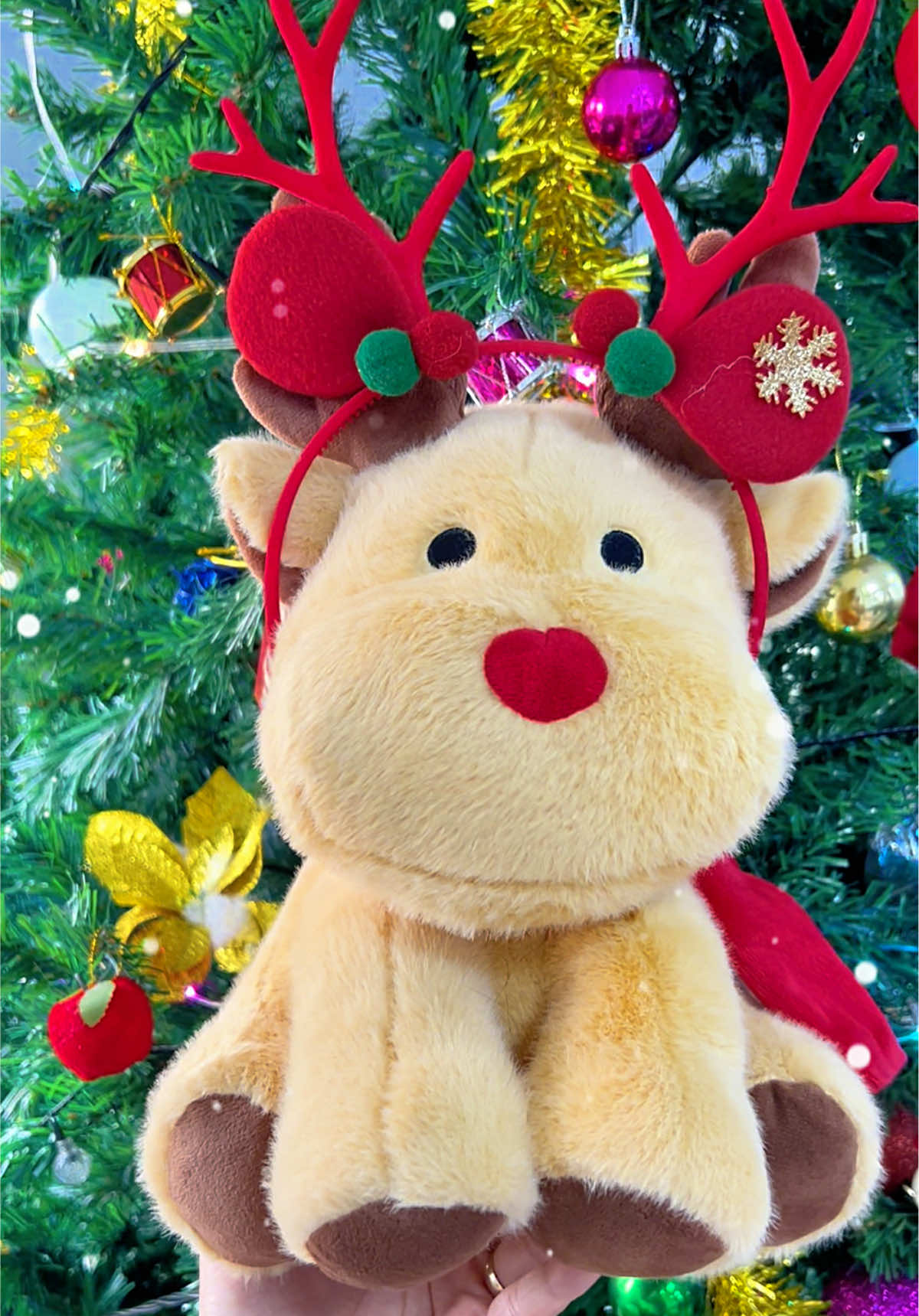 Gấu Bông Tuần Lộc Jollibee Giáng Sinh hot 2025. Quà Noel này đáng iêu quá #gaubongquatang #quatangnoel #gaubongjollibee #jollibee #quanoelchobe  @Kho sỉ phụ kiện trang trí  @Kho sỉ phụ kiện trang trí  @Kho sỉ phụ kiện trang trí 