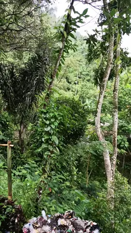 curug ceret naringgul #fyp  anugerah alam