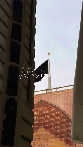 #مرقد_الامام_علي_عليه_السلام #ياعلي_مولا_عَلَيہِ_السّلام #ياعلي_دخيلك_تسمعني_وادري_ماتخيبني #صباح_الخير 