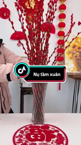 Nụ tầm xuân trang trí tết #giadung #dohaytrongnha #tienich #nutamxuan #xuhuong 