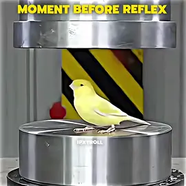 #Dramaseries #ShortFilm #TheatreLovers #ModernTheatre #StagePlay #DramaTime #ActingLife #ndieDrama #Storytelling #EnglishDrama #EnglishSeries #BritishDrama #AmericanTheatre #ActinglnEnglish0R A MOM #DramaForEveryone #WorldDrama #InternationalShortFilm #DramalnUSA #CanadianTheatre #UKShortFilm