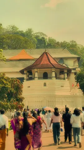 සැනසීම හොයන හැම හිතකටම සැනසීම ලැබේවා...!☸️🙏|සියලු උවදුරු දුරුවන පින්බර උදුවප් පුන් පොහෝ දිනයක් වේවා.| Background වීඩියෝ හොයන ඔයාටමයි ලස්සන ළමයෝ මේ video එක.!#tharuupage #backgroundvideo #quotes #sinhalaquotes #buddhism 