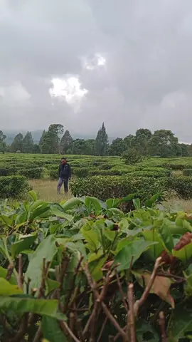 #pangalengan ngopi di warung Bah Undang 