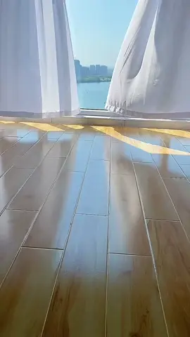 Mosquitoes and insect gone!#fyp #fyppppppppppppppppppppppp #trending 