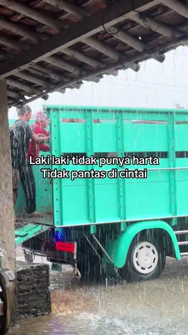 😇#truk #trukmaniaindonesia #truksapi #sapi #trukmodifikasi 