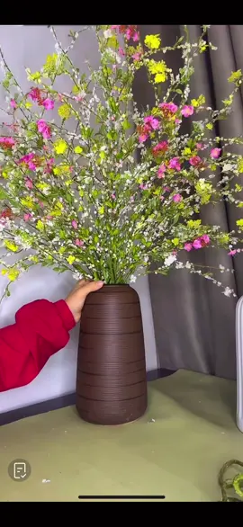 Hoa tuyết mai#hoatuyetmai #hoatet #hoagia 