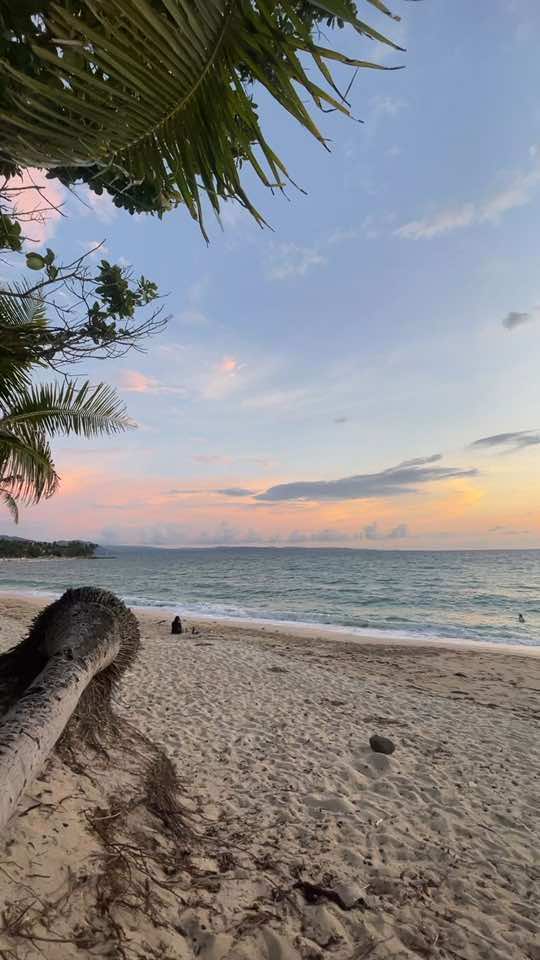 i think i am really made for the beach