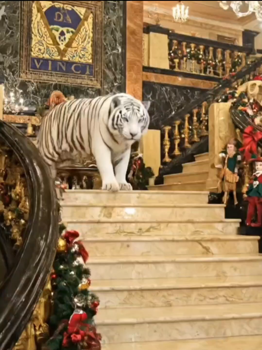 White Tiger @Davinci 😱 #whitetiger #aiedit #davincifurniture 