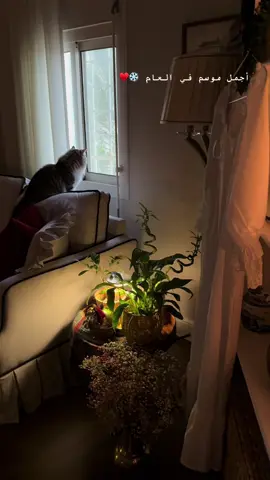 #foryou #اكسبلور #fyp #اكسبلورexplore #fypシ 