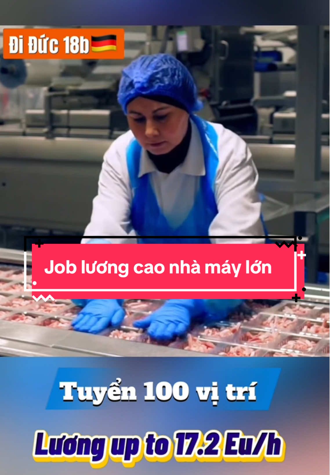 Job ngon, nhà máy lớn cần nhiều bạn sang làm việc nhé #visa18b🇩🇪 #vieclamduc #chuyendoibang🇩🇪 