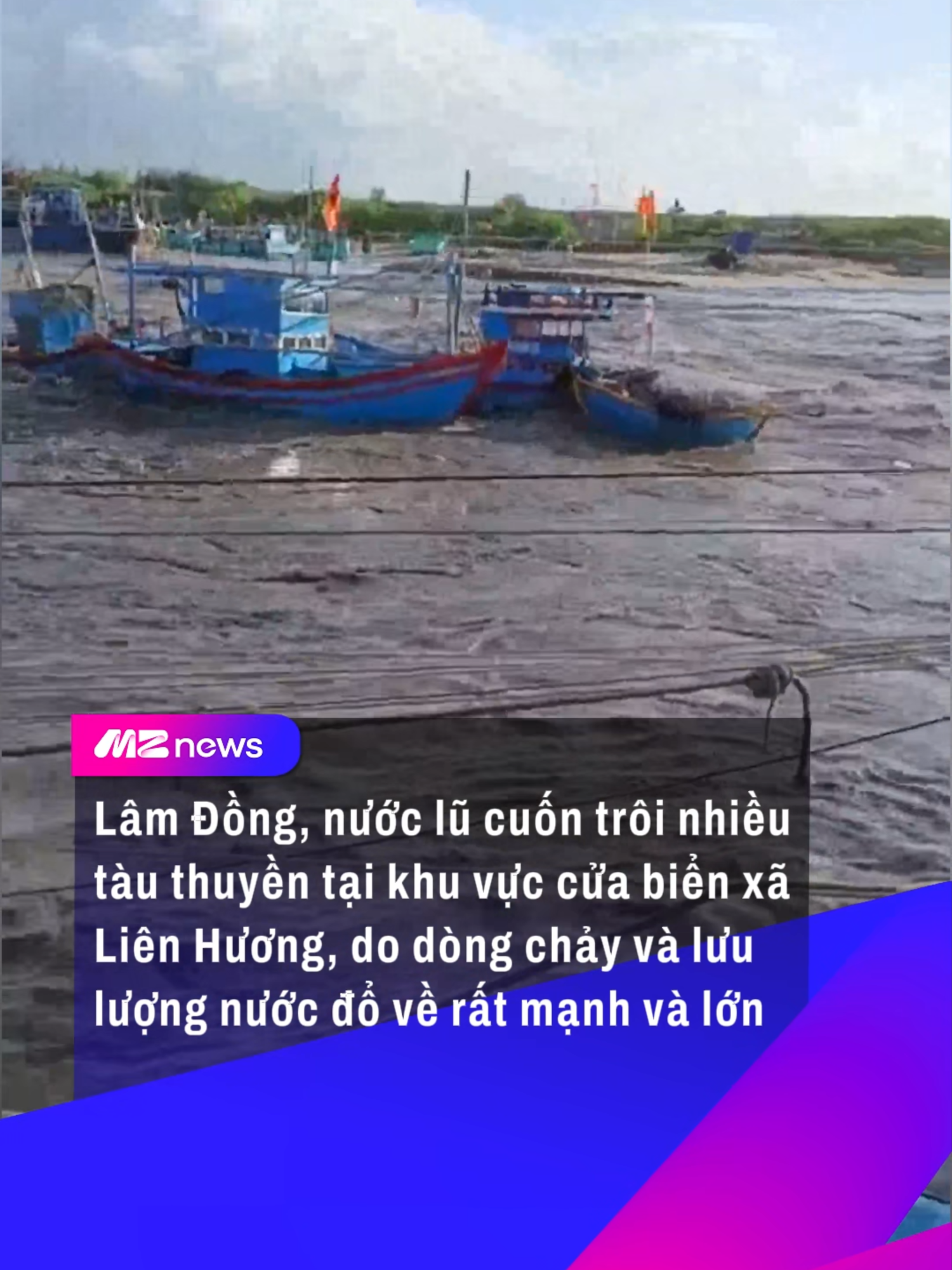Gần tết rồi mà còn cảnh này, thương bà con quá #mznews #mznetwork #tiktok #tintuc #news