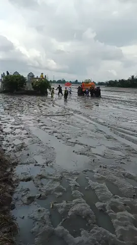 #huynhgiau467 #camhoatangle 