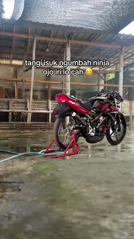 modal wifi iso ngumbah ninja 🥰 