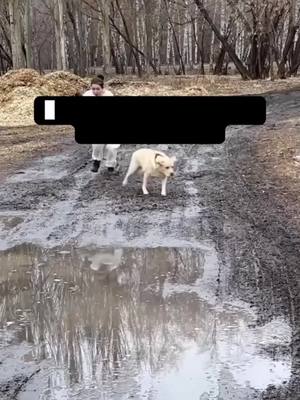 Herren-High-Top-Rutschfeste Praktische Mode-Schuhe