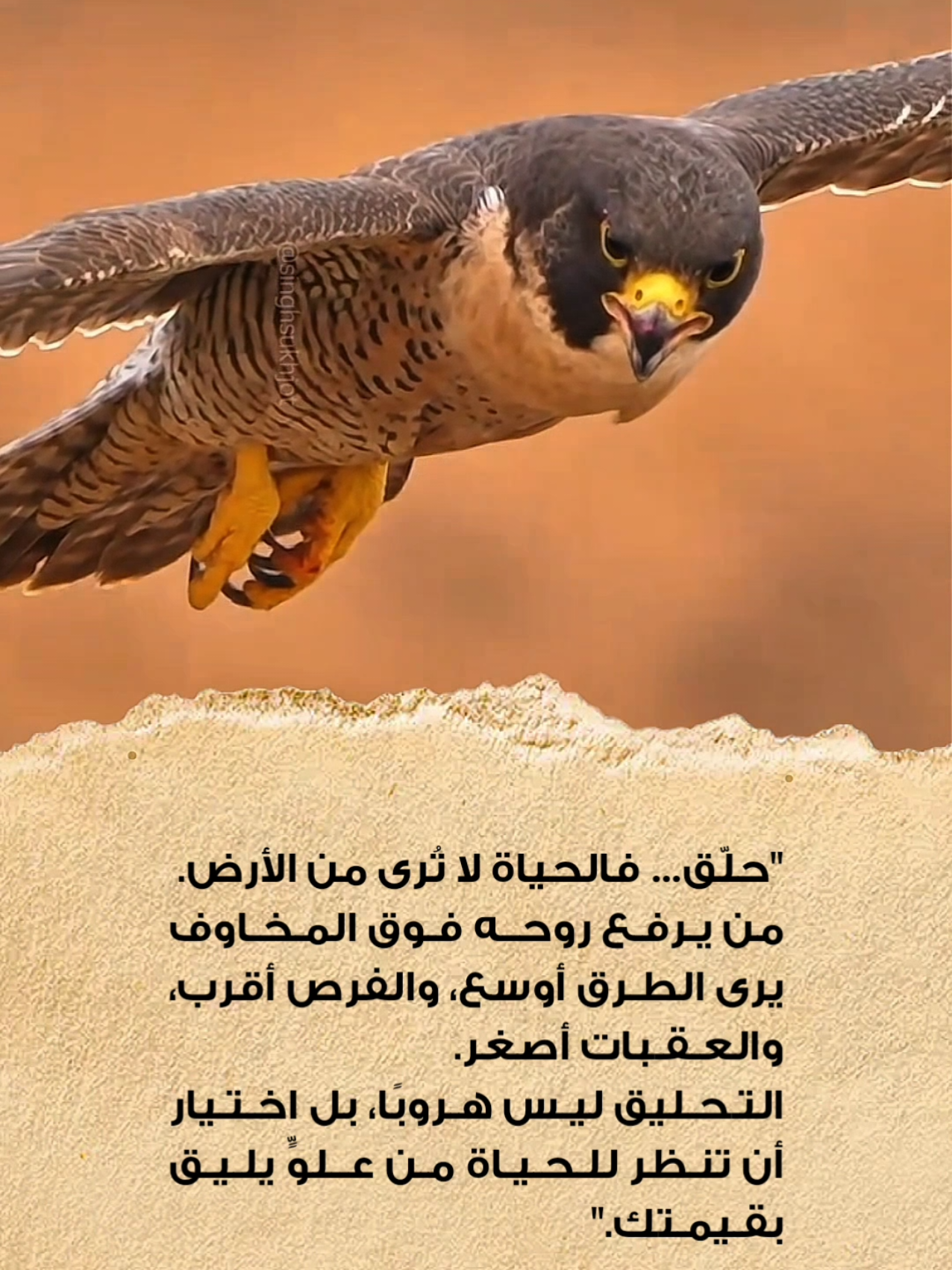 حلق... فالحياة لا ثرى من الأرض. #fyp #foryoupage #تحفيز_الذات #تحفيز #عبارات_تحفيزية 